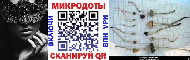 Галлюциногенные грибы GOLDEN TEACHER  цены   Новочебоксарск 
