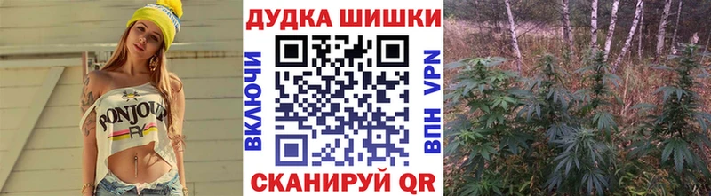 OMG вход  Новочебоксарск  Конопля VHQ 
